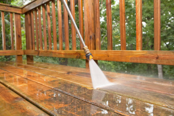Best Fence Cleaning  in Wartburg, TN