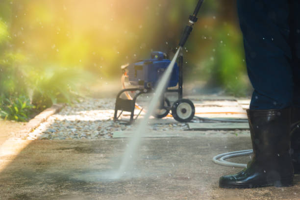 Best Sidewalk and Walkway Cleaning  in Wartburg, TN